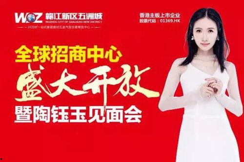 传奇星娱乐2017,璀璨星辉，娱乐盛宴回顾